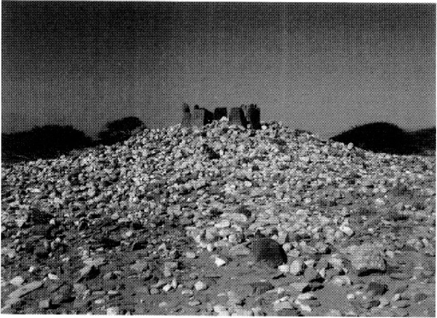 The Ancient Red Sea Port of Adulis, Eritrea: Results of the Eritro-British Expedition, 2004-5 — illustration 1, PDF page 116