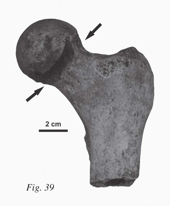 Preliminary Report: Excavations and Surveys, Bilet (Tigray, Ethiopia), 1-20 December 2018 — illustration 2, PDF page 42