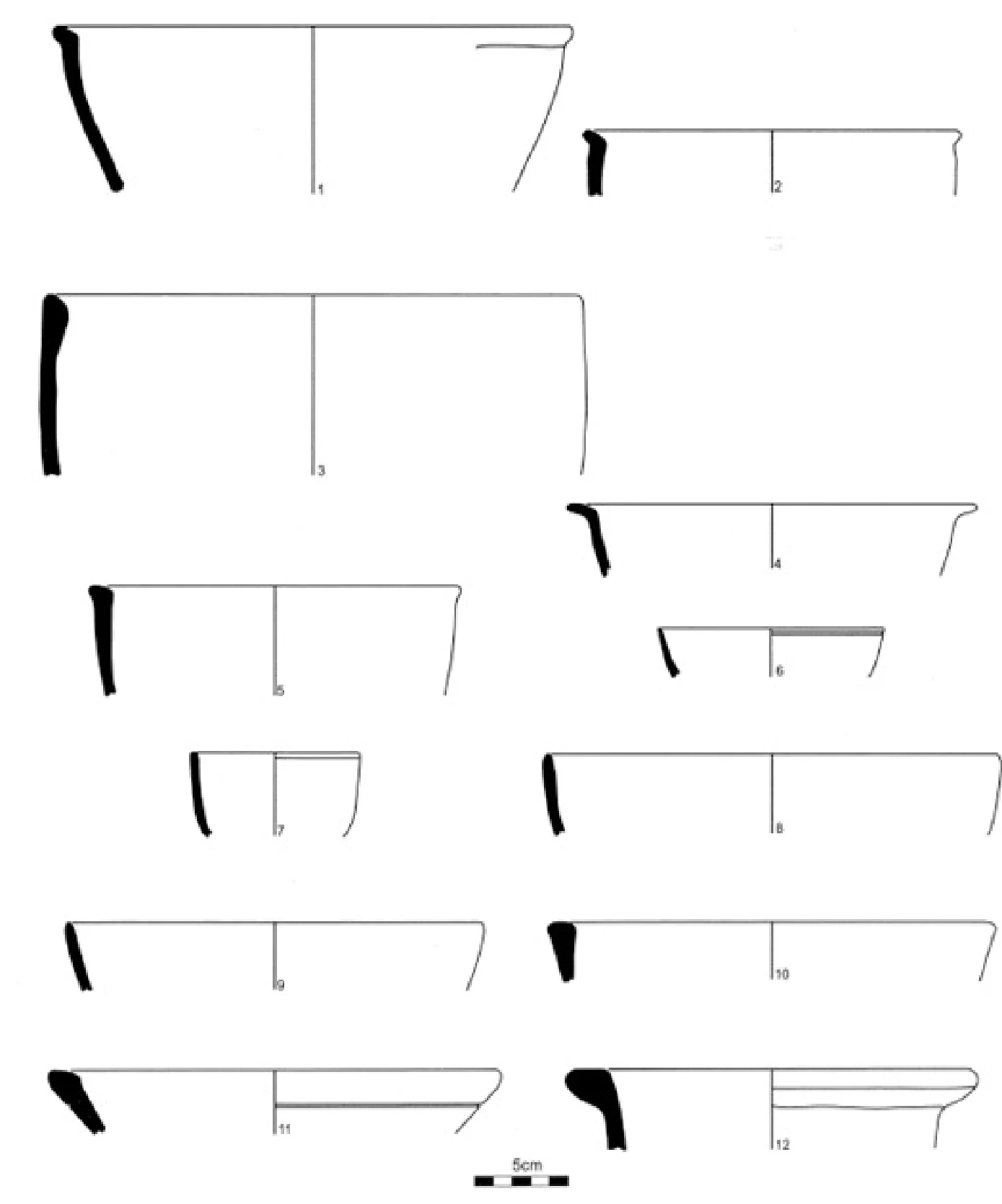 The Ancient Red Sea Port of Adulis, Eritrea: Results of the Eritro-British Expedition, 2004-5 — illustration 1, PDF page 157