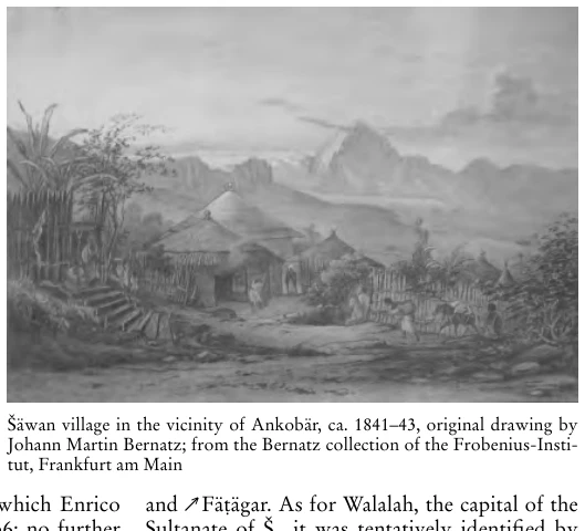 Illustration, Encyclopaedia Aethiopica volume 4, PDF page 580