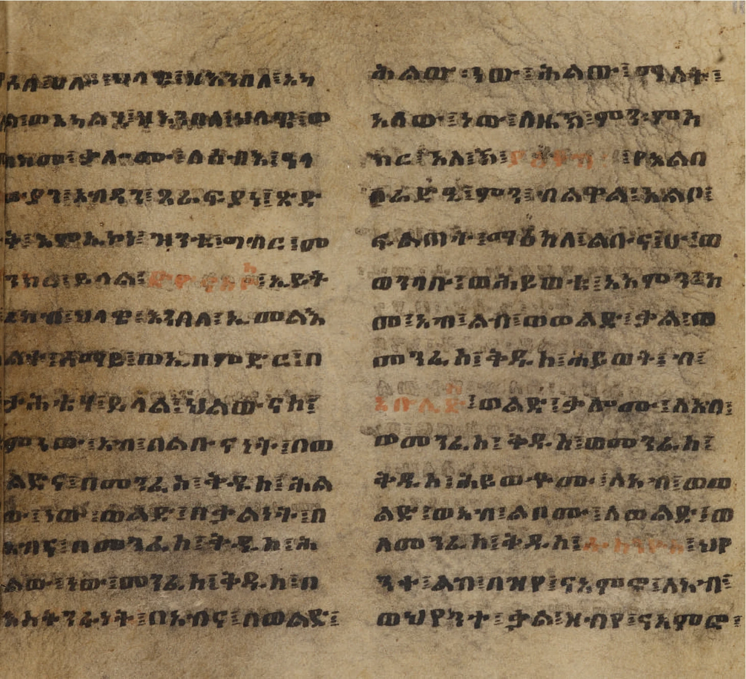 Treasures of Ethiopia and Eritrea in the Bodleian Library, Oxford — illustration 1, PDF page 105