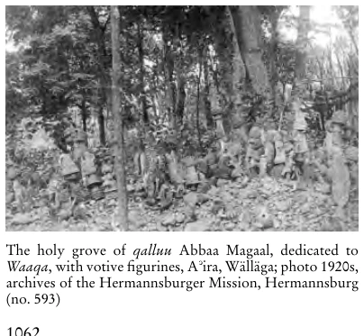 Illustration, Encyclopaedia Aethiopica volume 4, PDF page 1089