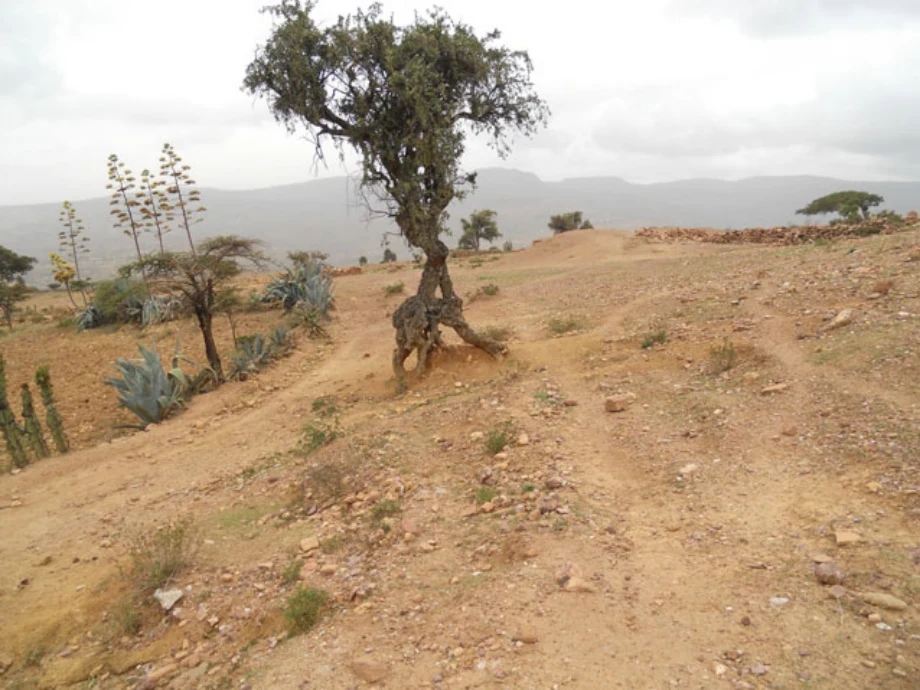 Geo-trekking in Ethiopia's Tropical Mountains: The Dogu'a Tembien District — illustration 1, PDF page 332