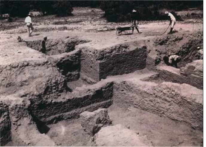 Modeling the Local Political Economy of Adulis: 1000 BCE - 700 ACE — illustration 2, PDF page 443