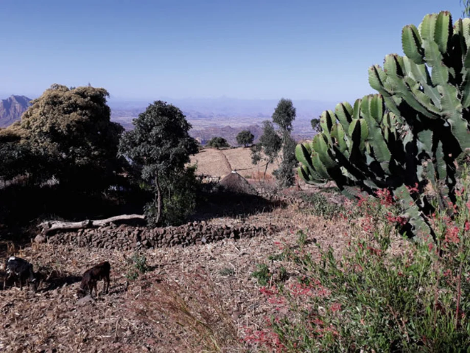 Geo-trekking in Ethiopia's Tropical Mountains: The Dogu'a Tembien District — illustration 1, PDF page 649