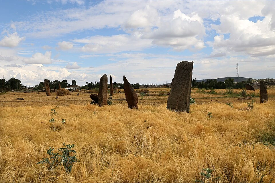 A group of standing stones in the Gudit stelae field.