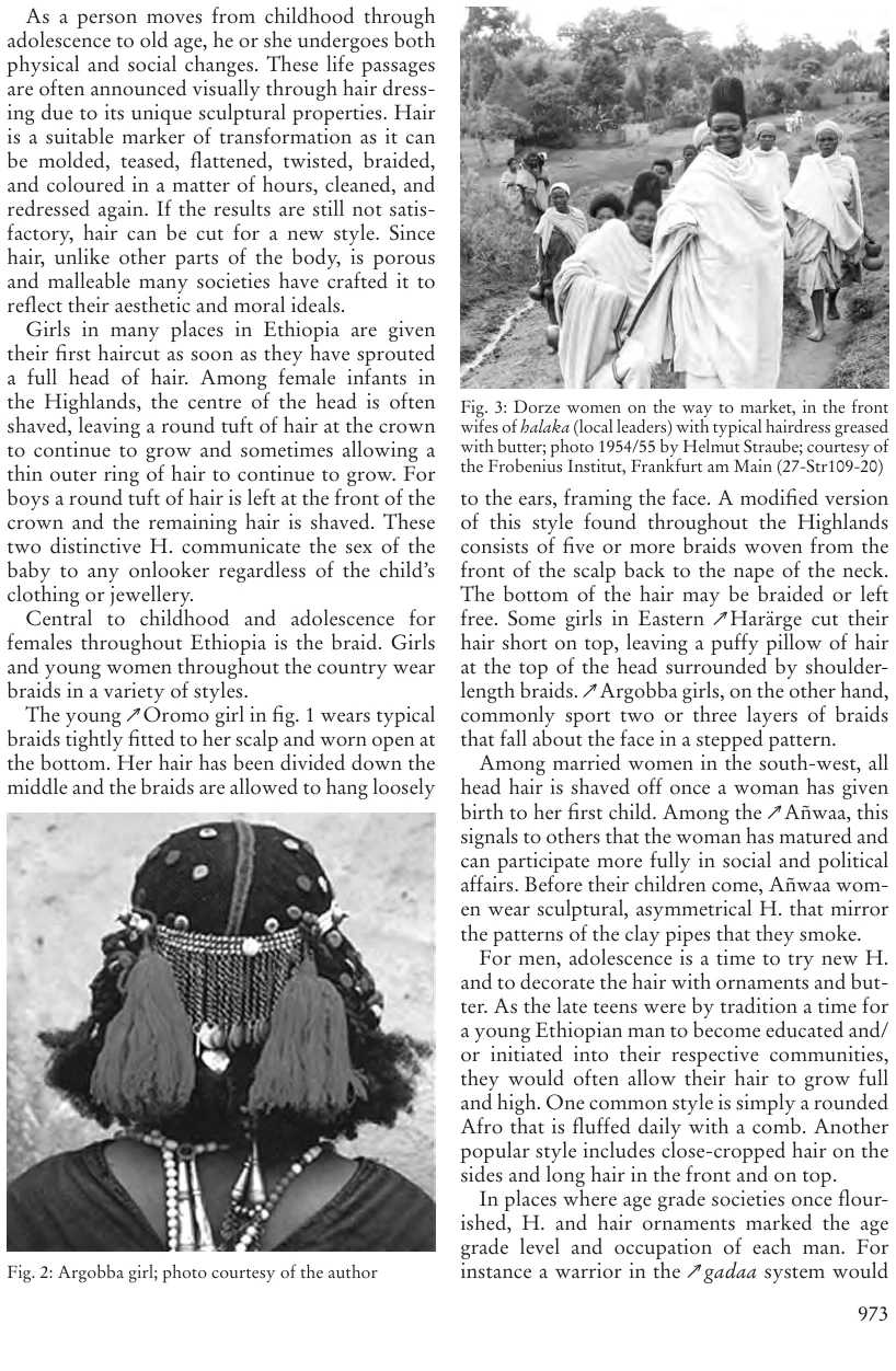 Illustrations, Encyclopaedia Aethiopica volume 2, PDF page 1007