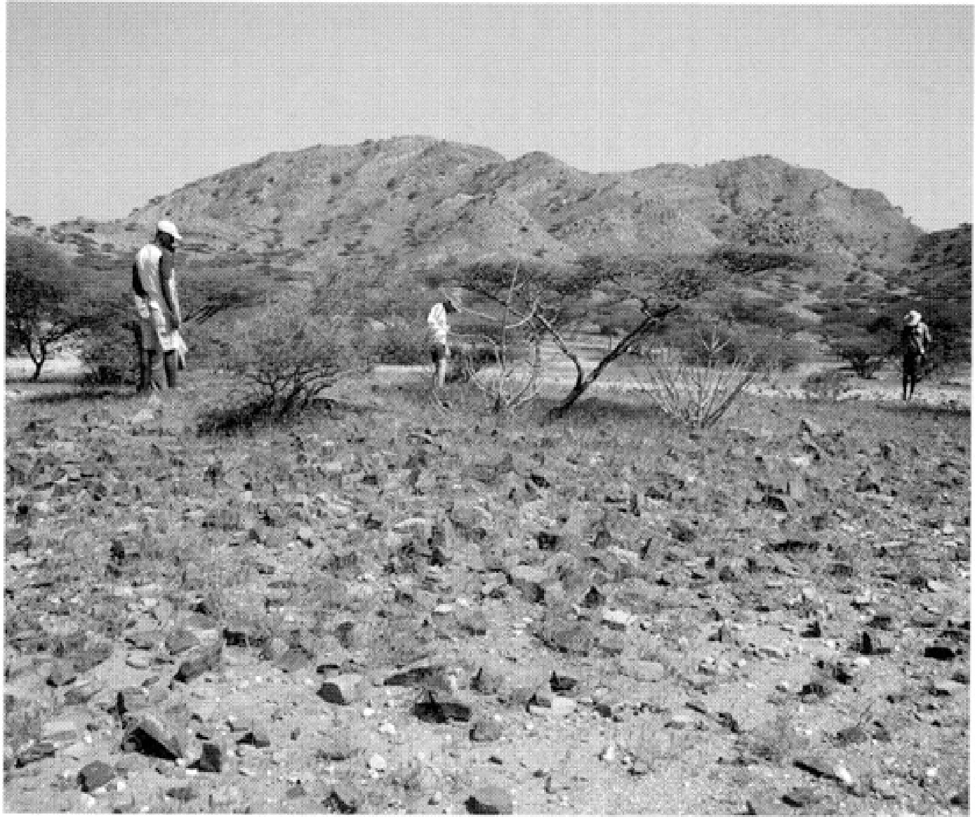 The Ancient Red Sea Port of Adulis, Eritrea: Results of the Eritro-British Expedition, 2004-5 — illustration 1, PDF page 104