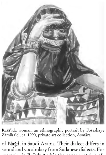 Illustration, Encyclopaedia Aethiopica volume 4, PDF page 362