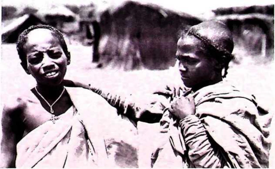In Imperial Order: The German Aksum Expedition 1906 under Enno Littmann, Volume 3: Ethnographic, church-historical and archaeological-historical investigations — illustration 1, PDF page 217