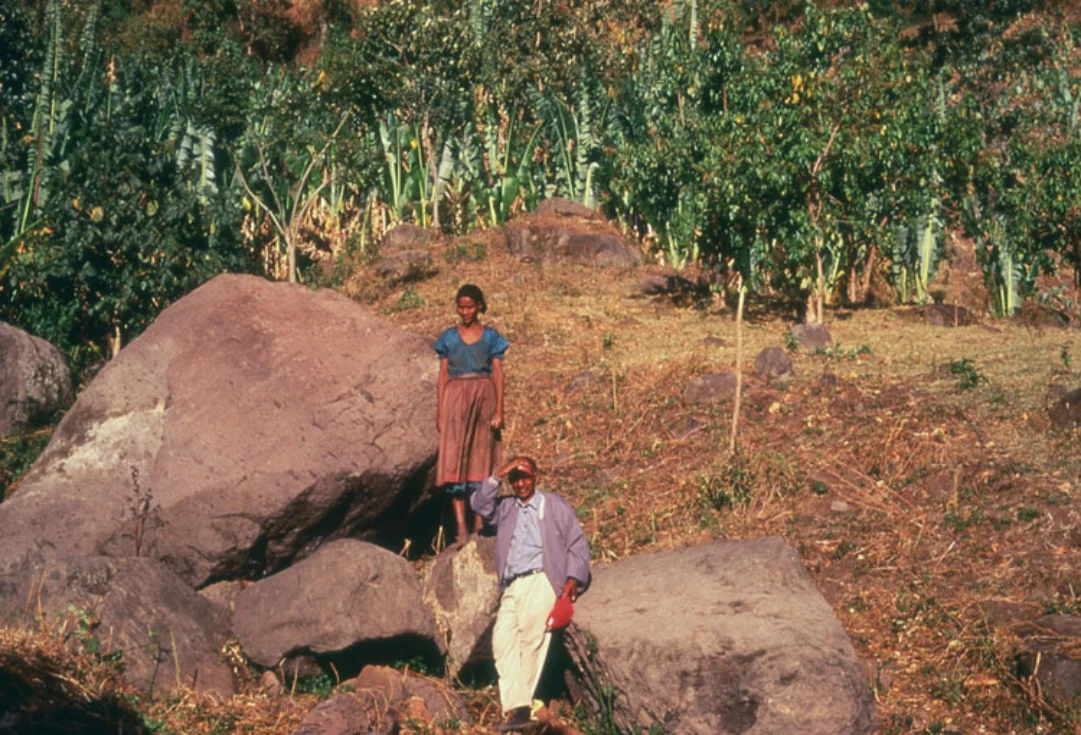 Landscapes and Landforms of Ethiopia — illustration 1, PDF page 356