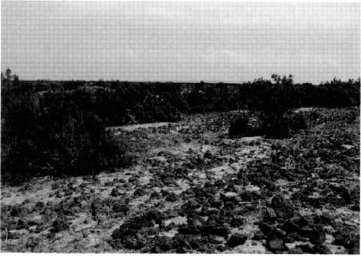 The Ancient Red Sea Port of Adulis, Eritrea: Results of the Eritro-British Expedition, 2004-5 — illustration 1, PDF page 24
