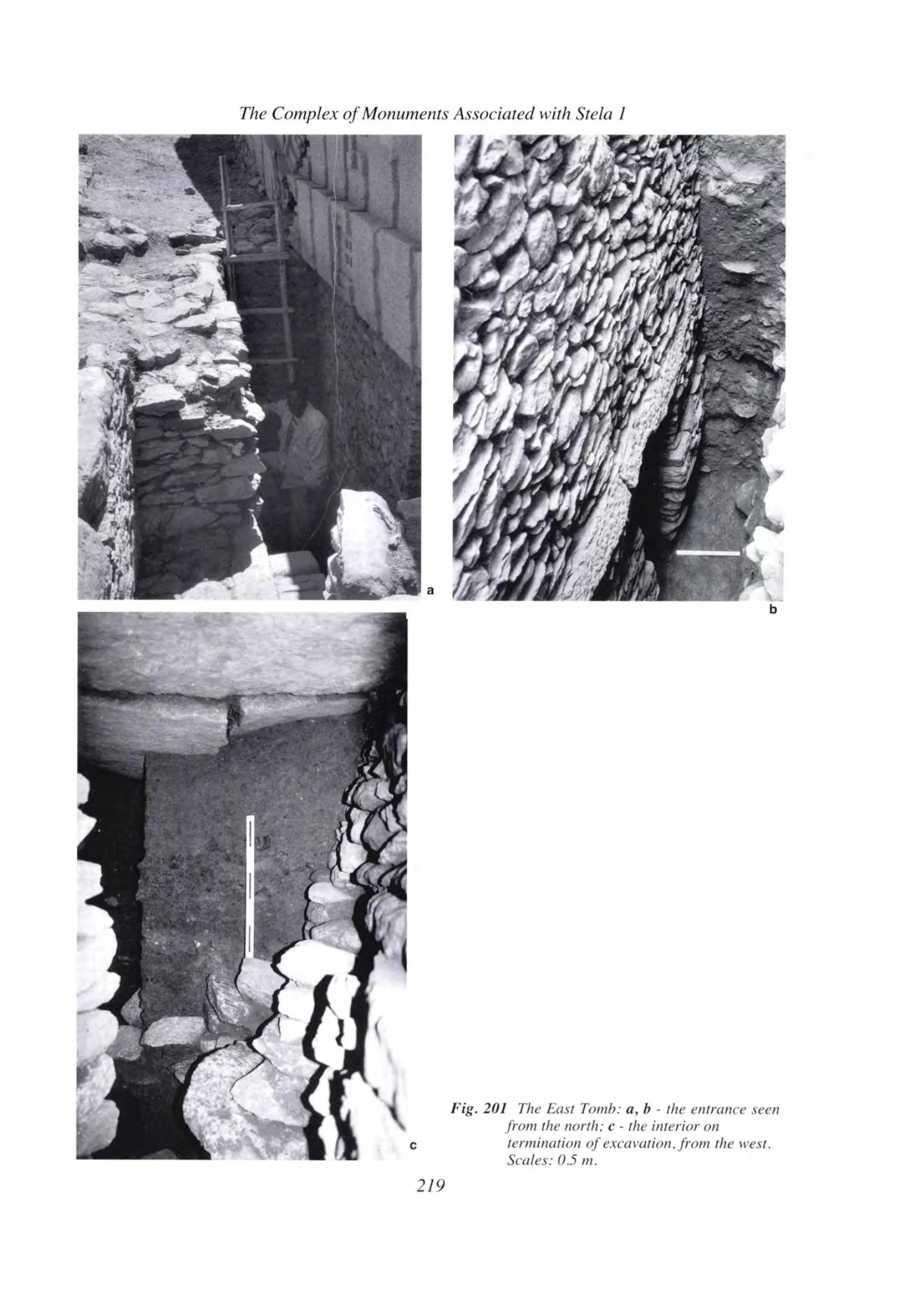 Archaeology at Aksum, Ethiopia, 1993-7, Volume I — illustrated page 238