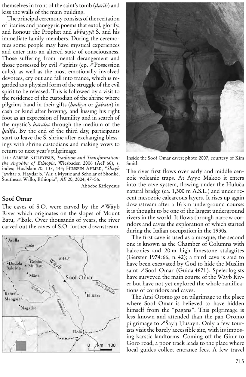 Illustrations, Encyclopaedia Aethiopica volume 4, PDF page 742