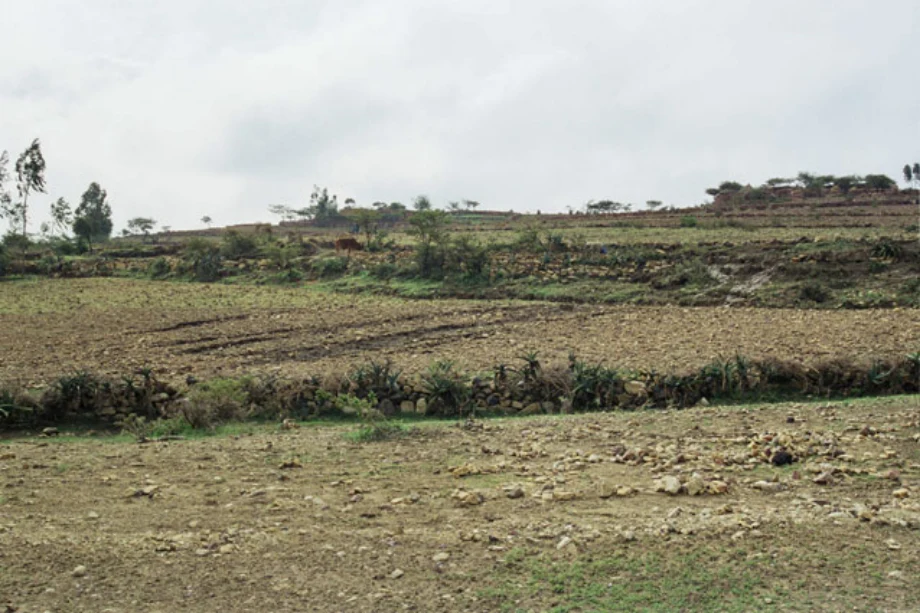Geo-trekking in Ethiopia's Tropical Mountains: The Dogu'a Tembien District — illustration 1, PDF page 335