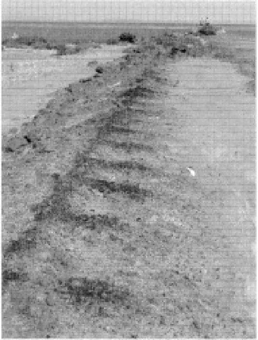 The Ancient Red Sea Port of Adulis, Eritrea: Results of the Eritro-British Expedition, 2004-5 — illustration 1, PDF page 41