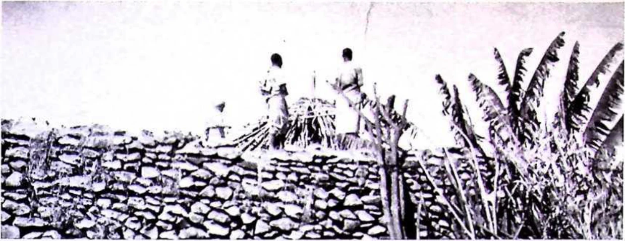In Imperial Order: The German Aksum Expedition 1906 under Enno Littmann, Volume 3: Ethnographic, church-historical and archaeological-historical investigations — illustration 2, PDF page 239