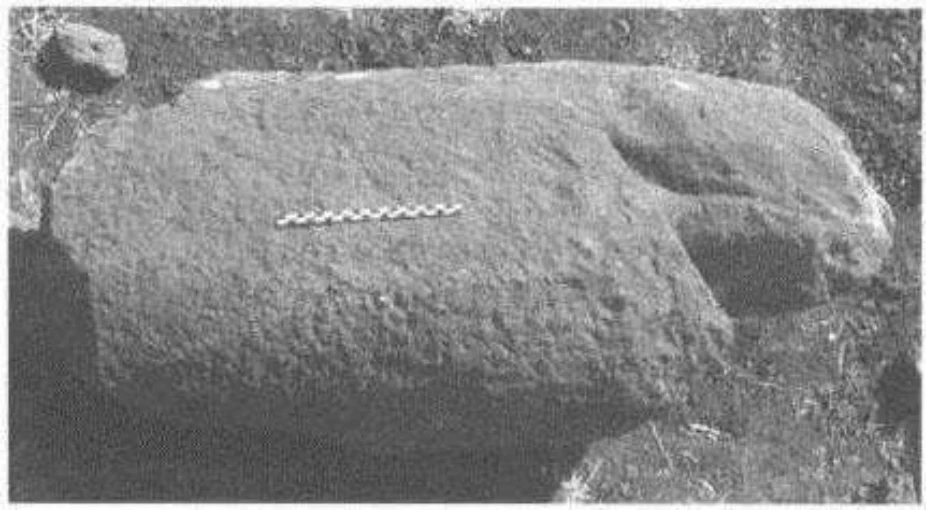 La culture Shay d’Éthiopie (Xe–XIVe siècles): Recherches archéologiques et historiques sur une élite païenne — illustration 1, PDF page 119
