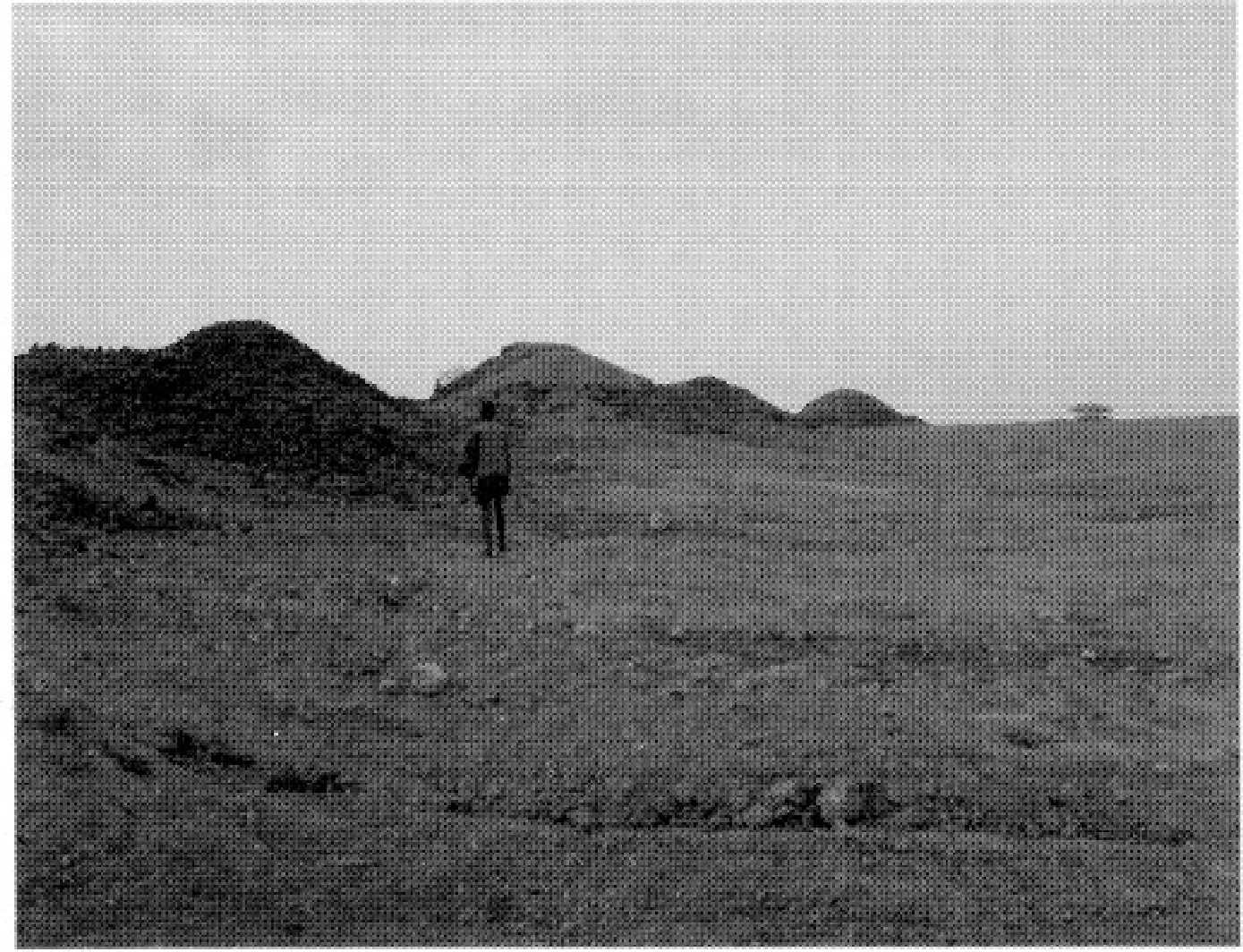 The Ancient Red Sea Port of Adulis, Eritrea: Results of the Eritro-British Expedition, 2004-5 — illustration 1, PDF page 125