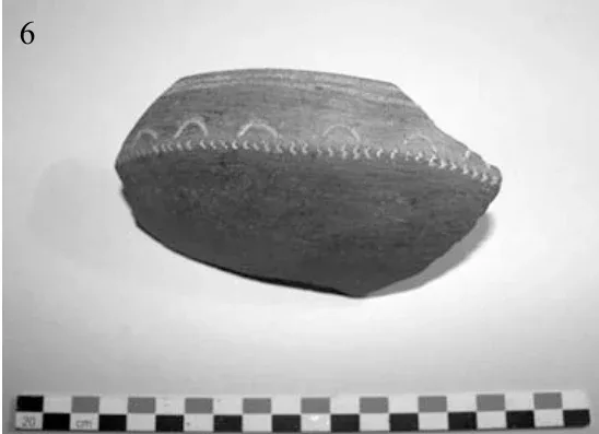 The Ancient Red Sea Port of Adulis and the Eritrean Coastal Region: Previous investigations and museum collections — illustration 5, PDF page 49
