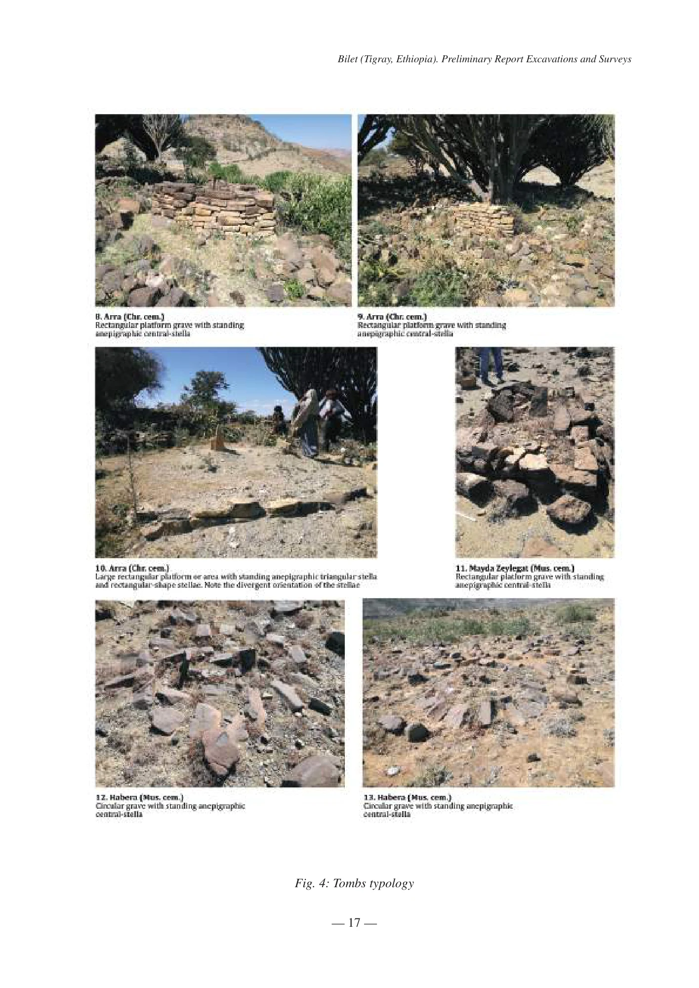 Preliminary Report: Excavations and Surveys, Bilet (Tigray, Ethiopia), 1-20 December 2018 — illustrated page 17