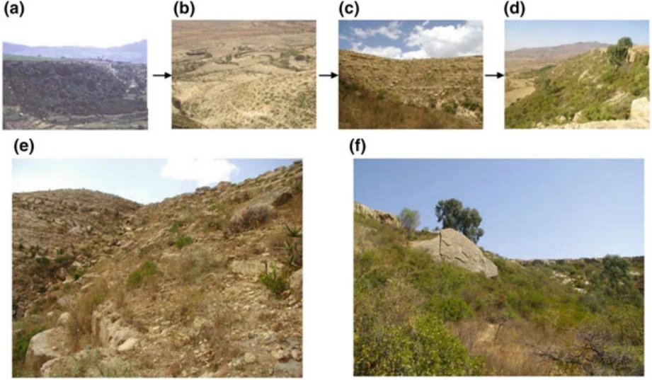 Geo-trekking in Ethiopia's Tropical Mountains: The Dogu'a Tembien District — illustration 1, PDF page 269