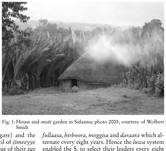 Illustration, Encyclopaedia Aethiopica volume 4, PDF page 684
