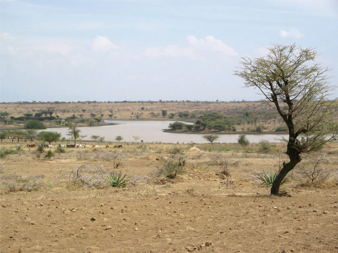 Landscapes and Landforms of Ethiopia — illustration 1, PDF page 102