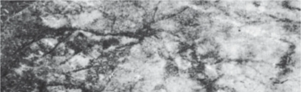 Aethiopica: International Journal of Ethiopian and Eritrean Studies, Volume 25 (2022) — illustration 2, PDF page 142
