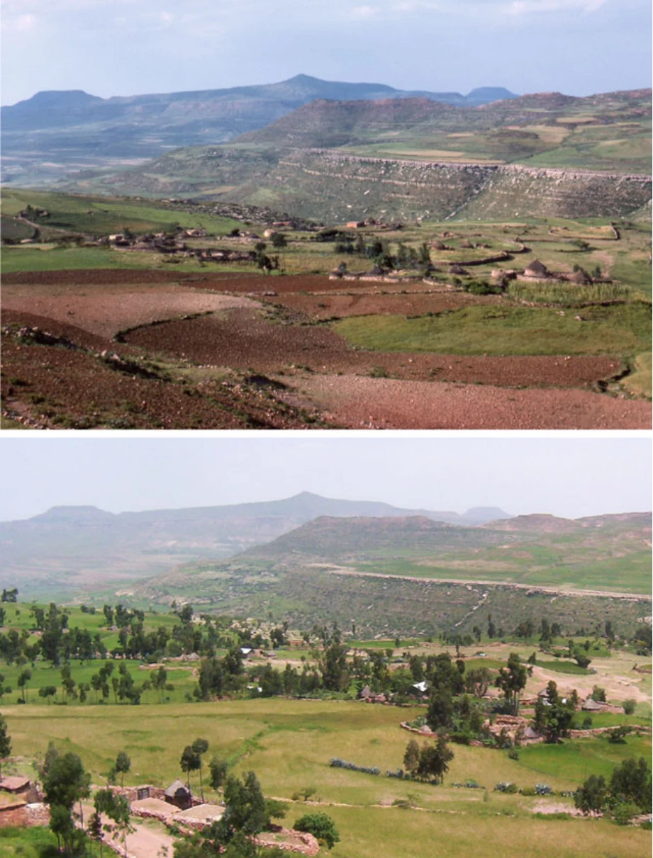 Geo-trekking in Ethiopia's Tropical Mountains: The Dogu'a Tembien District — illustration 1, PDF page 478