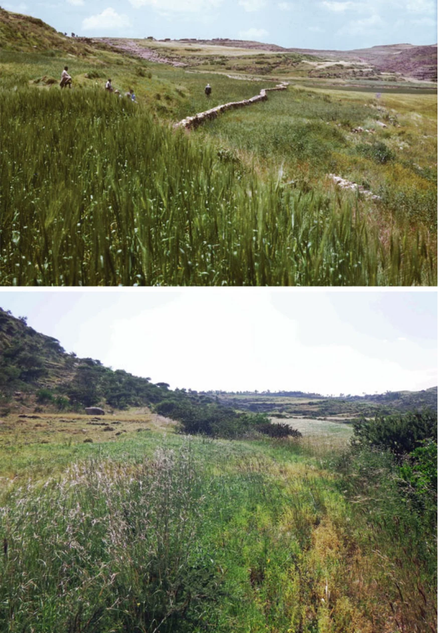 Geo-trekking in Ethiopia's Tropical Mountains: The Dogu'a Tembien District — illustration 1, PDF page 489