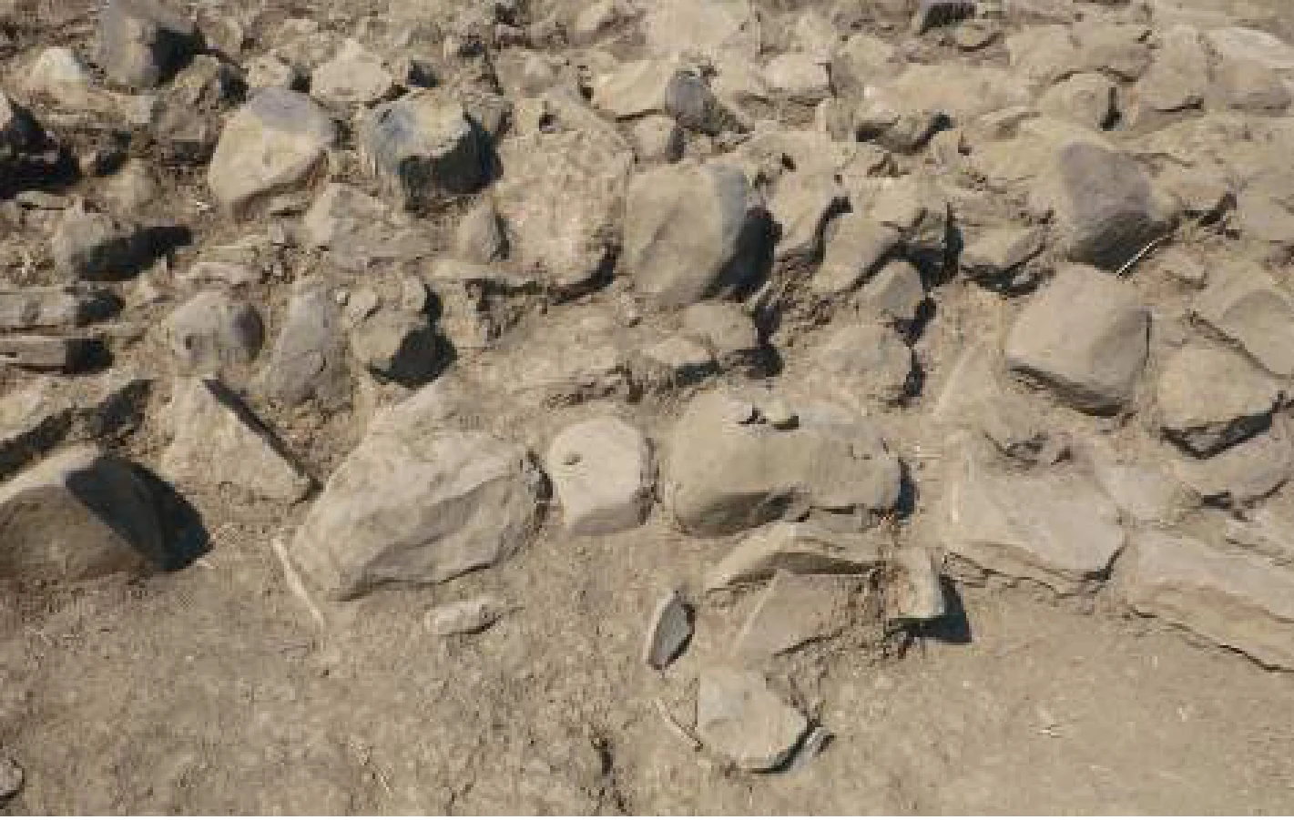 Preliminary Report: Excavations and Surveys, Bilet (Tigray, Ethiopia), 1-20 December 2018 — illustration 1, PDF page 66