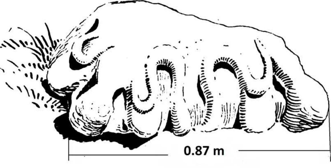 Modeling the Local Political Economy of Adulis: 1000 BCE - 700 ACE — illustration 1, PDF page 347