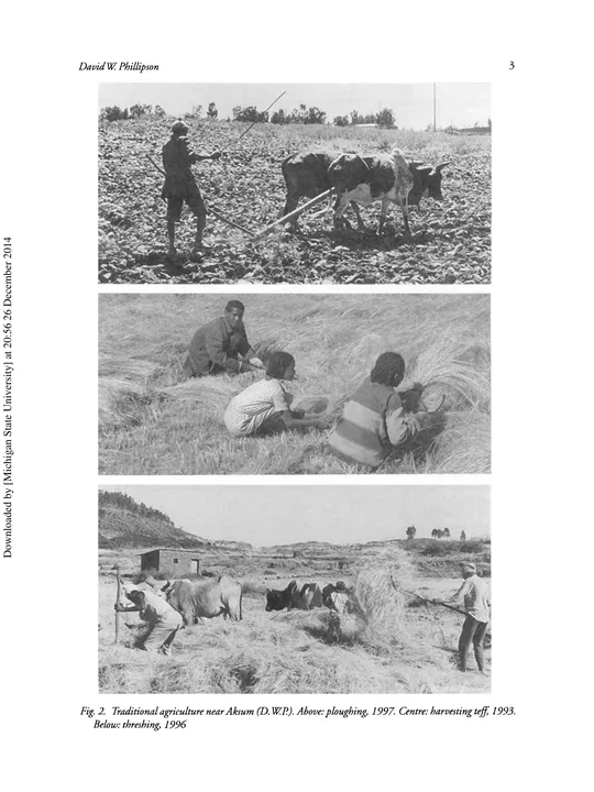 Aksum: An archaeological introduction and guide — illustrated page 4