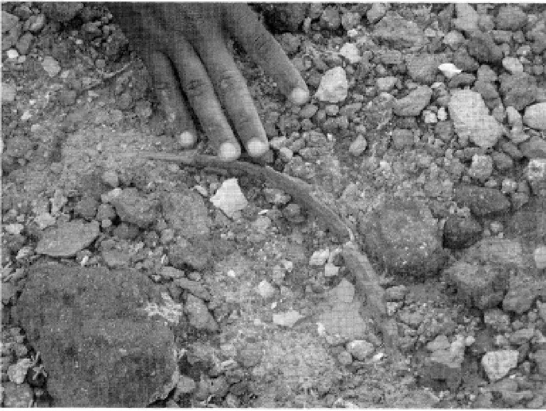 The Ancient Red Sea Port of Adulis, Eritrea: Results of the Eritro-British Expedition, 2004-5 — illustration 2, PDF page 68