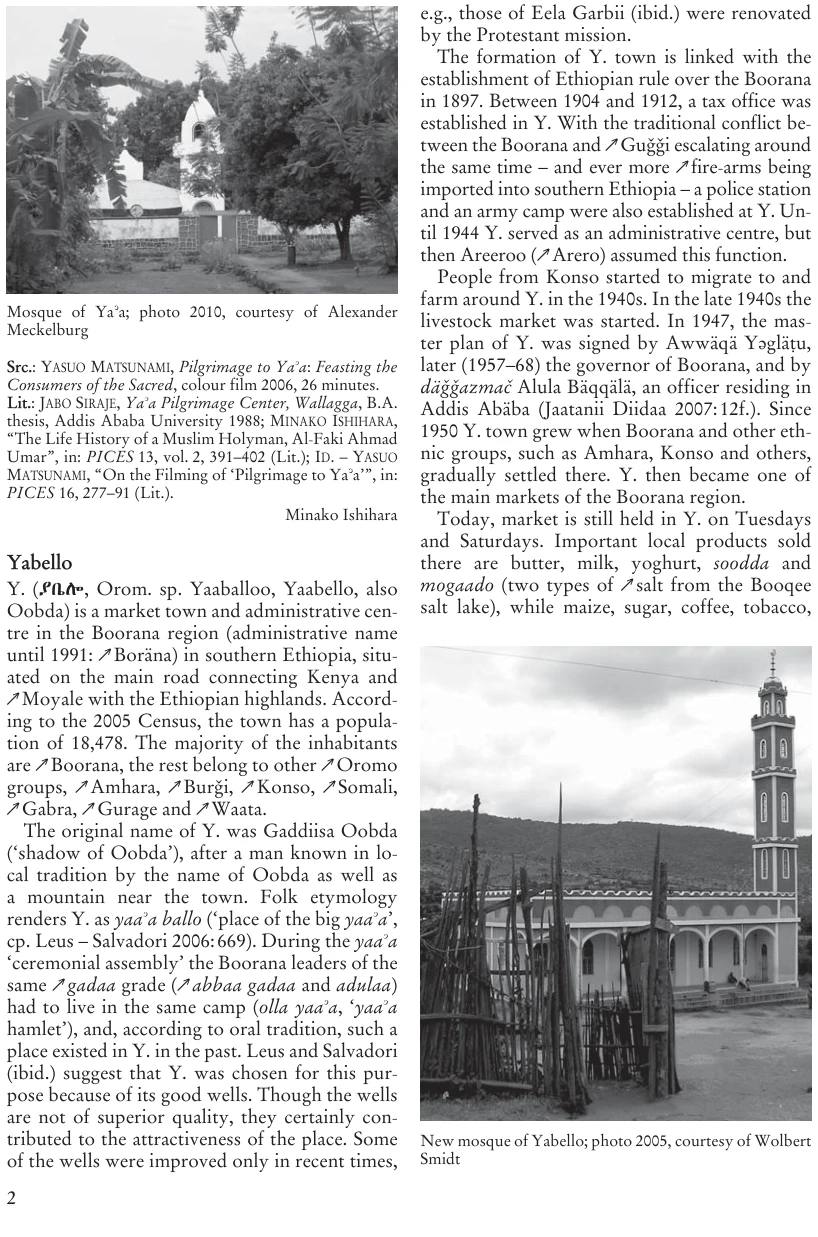 Illustrations, Encyclopaedia Aethiopica volume 5, PDF page 34