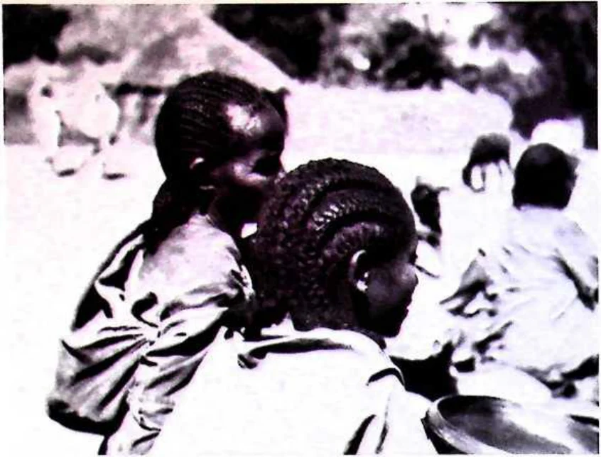 In Imperial Order: The German Aksum Expedition 1906 under Enno Littmann, Volume 3: Ethnographic, church-historical and archaeological-historical investigations — illustration 1, PDF page 220