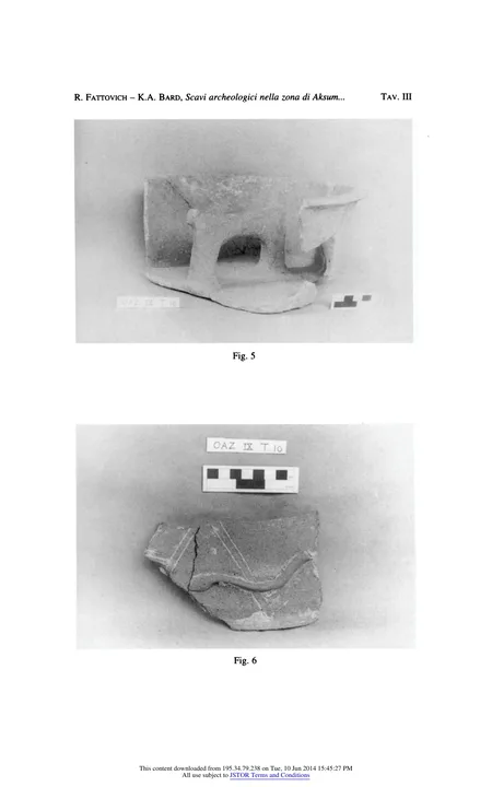 Scavi archeologici nella zona di Aksum. J. Bieta Giyorgis — illustrated page 25