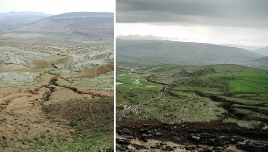 Geo-trekking in Ethiopia's Tropical Mountains: The Dogu'a Tembien District — illustration 1, PDF page 366