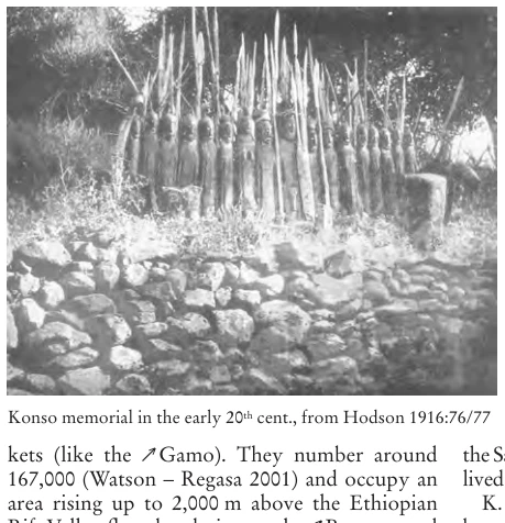 Illustration, Encyclopaedia Aethiopica volume 3, PDF page 454