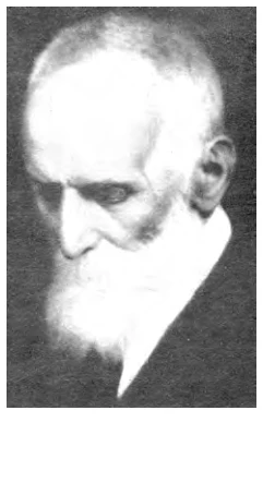 Illustration, Encyclopaedia Aethiopica volume 2, PDF page 943