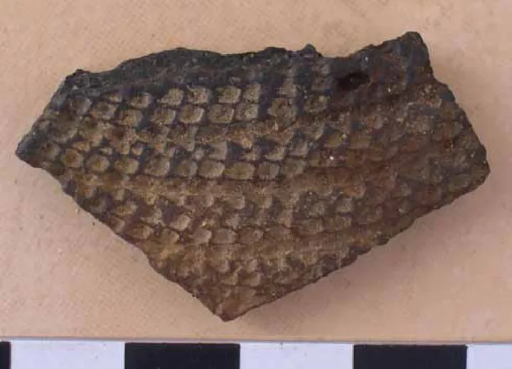 Egypt’s trade with Punt: New discoveries on the Red Sea coast — illustration 1, PDF page 57