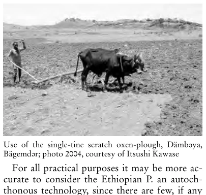 Illustration, Encyclopaedia Aethiopica volume 4, PDF page 190