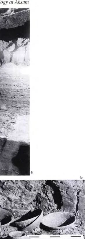 Fig. 40 Excavation of Loculus H, Tomb of the Brick Arches: a - excavation in progress, showing the bench and smashed artefacts thrown from it during Robbing 2 (scale: 0.5 m); b - bowls in situ on the bench (scale: 0.25 m)