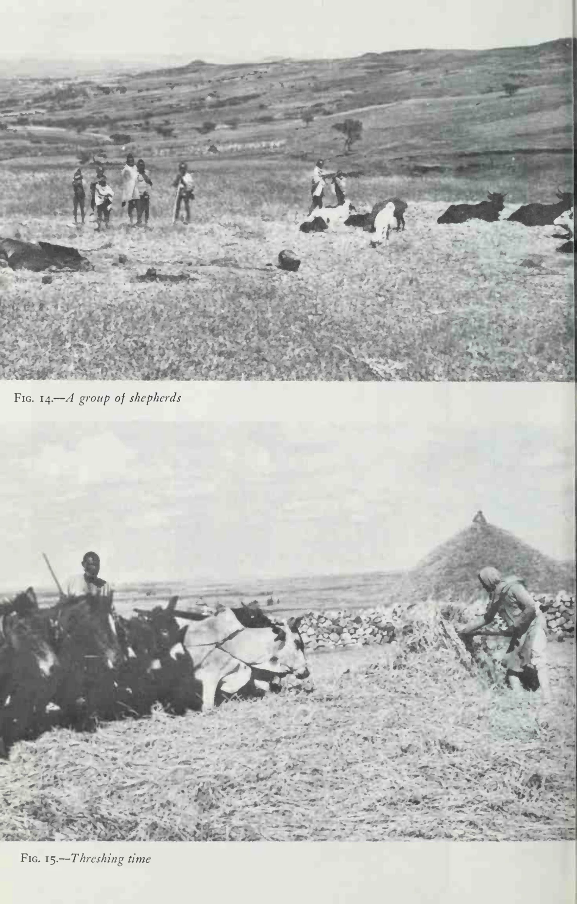 Wax & Gold: Tradition and Innovation in Ethiopian Culture — illustrated page 136