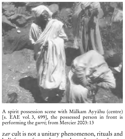 Illustration, Encyclopaedia Aethiopica volume 4, PDF page 212
