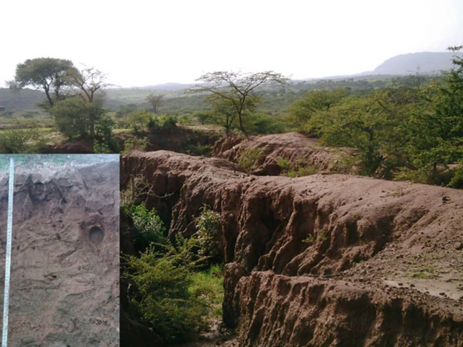Geo-trekking in Ethiopia's Tropical Mountains: The Dogu'a Tembien District — illustration 1, PDF page 375