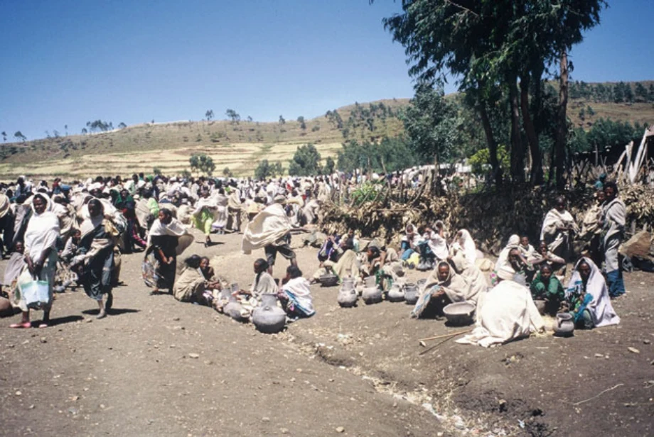 Geo-trekking in Ethiopia's Tropical Mountains: The Dogu'a Tembien District — illustration 1, PDF page 113