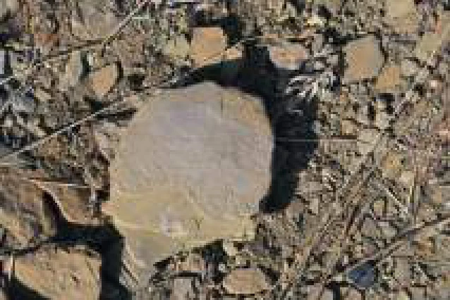 Preliminary Report: Excavations and Surveys, Bilet (Tigray, Ethiopia), 1-20 December 2018 — illustration 1, PDF page 81