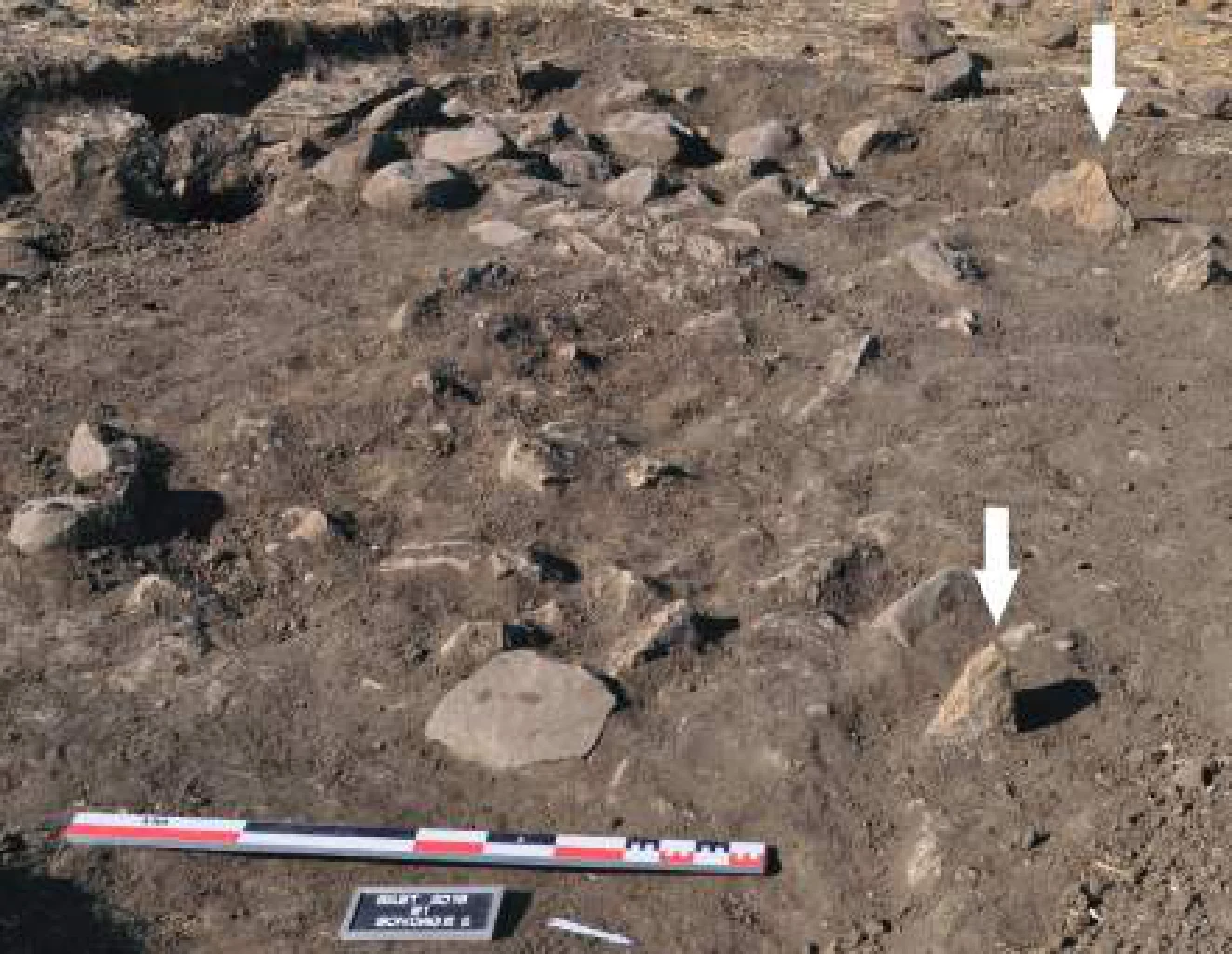 Preliminary Report: Excavations and Surveys, Bilet (Tigray, Ethiopia), 1-20 December 2018 — illustration 1, PDF page 45